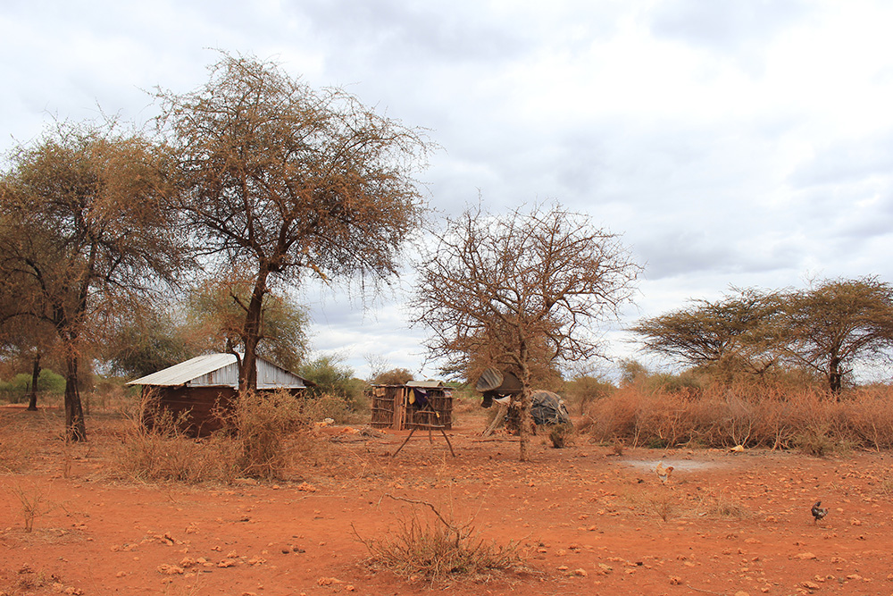 Torka i Afrika.