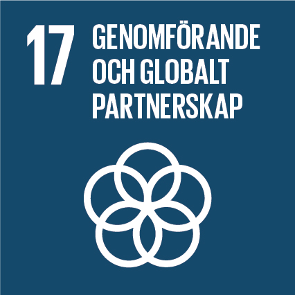 Globalt mål 17, genomförande och globalt partnerskap